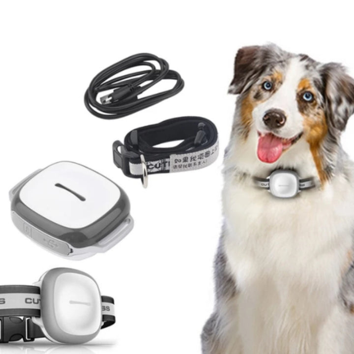 Collared Cat Dog Tracker Pet Locator Pet - ZEYTONCART