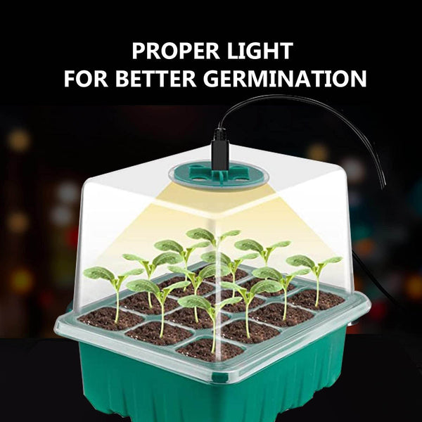 Household New Nursery Pot With Lamp - ZEYTONCART