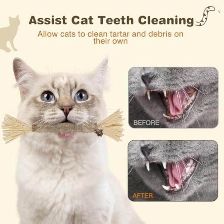 3 Pack Silvervine Sticks For Cats Cat Chew Toy For Dental Care Edible Cat Chew Sticks For Teeth Cleaning Kitty Toys For Indoor Cats - ZEYTONCART