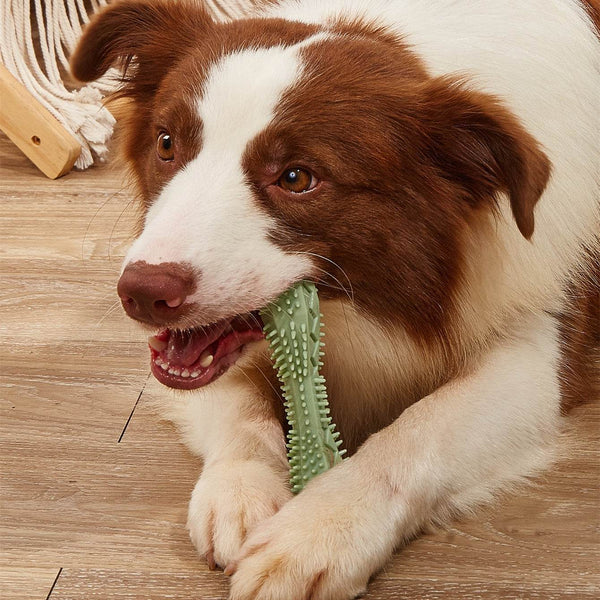 Chew Toys For Dog Teeth Cleaning - ZEYTONCART