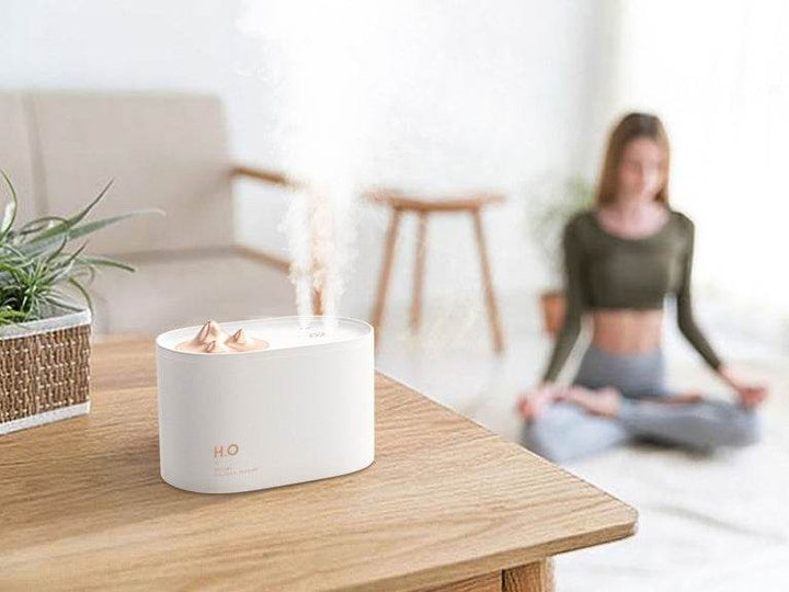 Wireless portable small household humidifier - ZEYTONCART