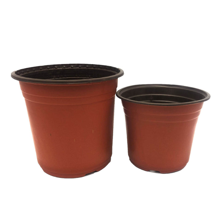 Plastic two-color nursery pots - ZEYTONCART