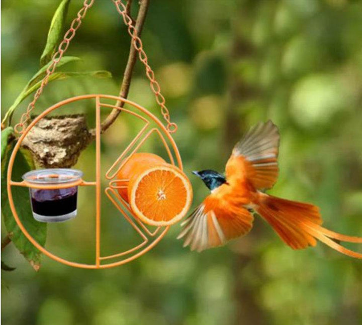 Hanging Metal Bracket For Outdoor Feeding Of Hummingbirds - ZEYTONCART