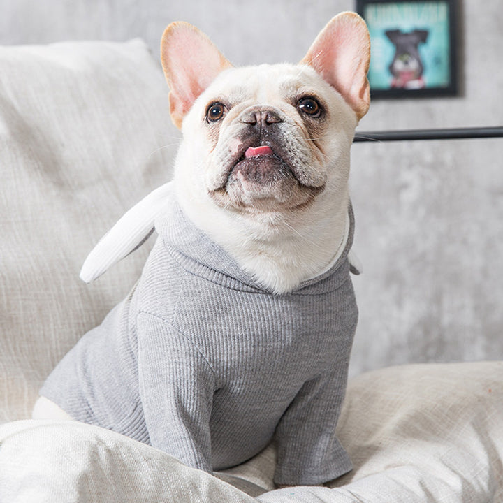 Dog Pet Clothes Spring And Autumn Clothing - ZEYTONCART