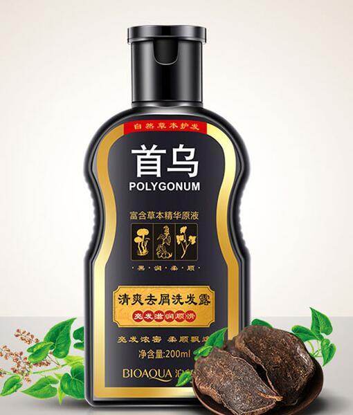 Polygonum shampoo - ZEYTONCART