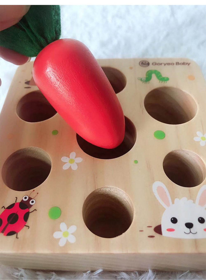 Educational toys - ZEYTONCART