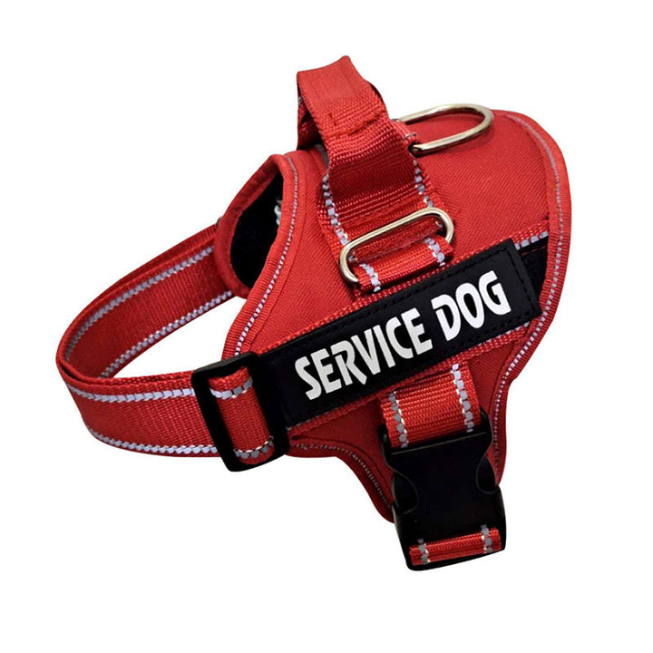 Personalization Of Pet Chest Strap Products - ZEYTONCART