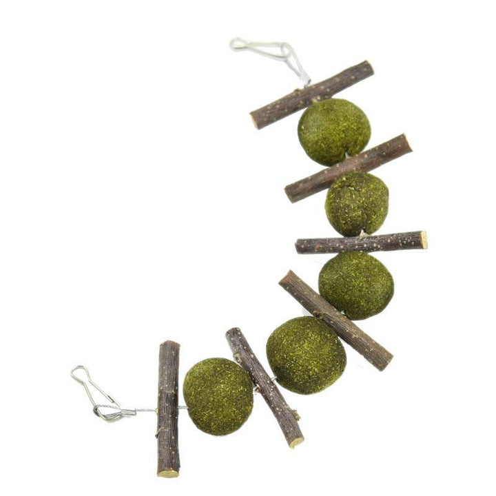 Pet molar supplies - ZEYTONCART