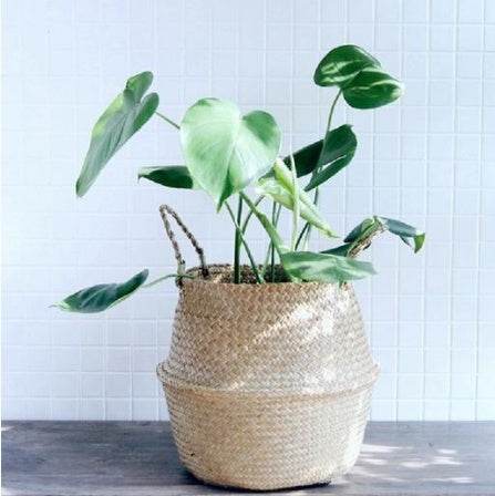 Wicker Foldable Planter Basket - ZEYTONCART