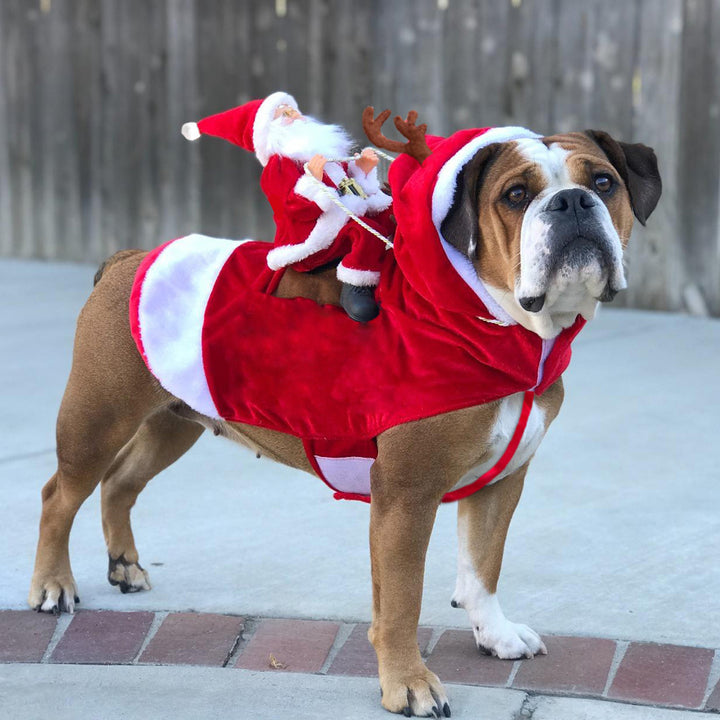 Dog Christmas Clothes Santa Claus Riding Deer - ZEYTONCART