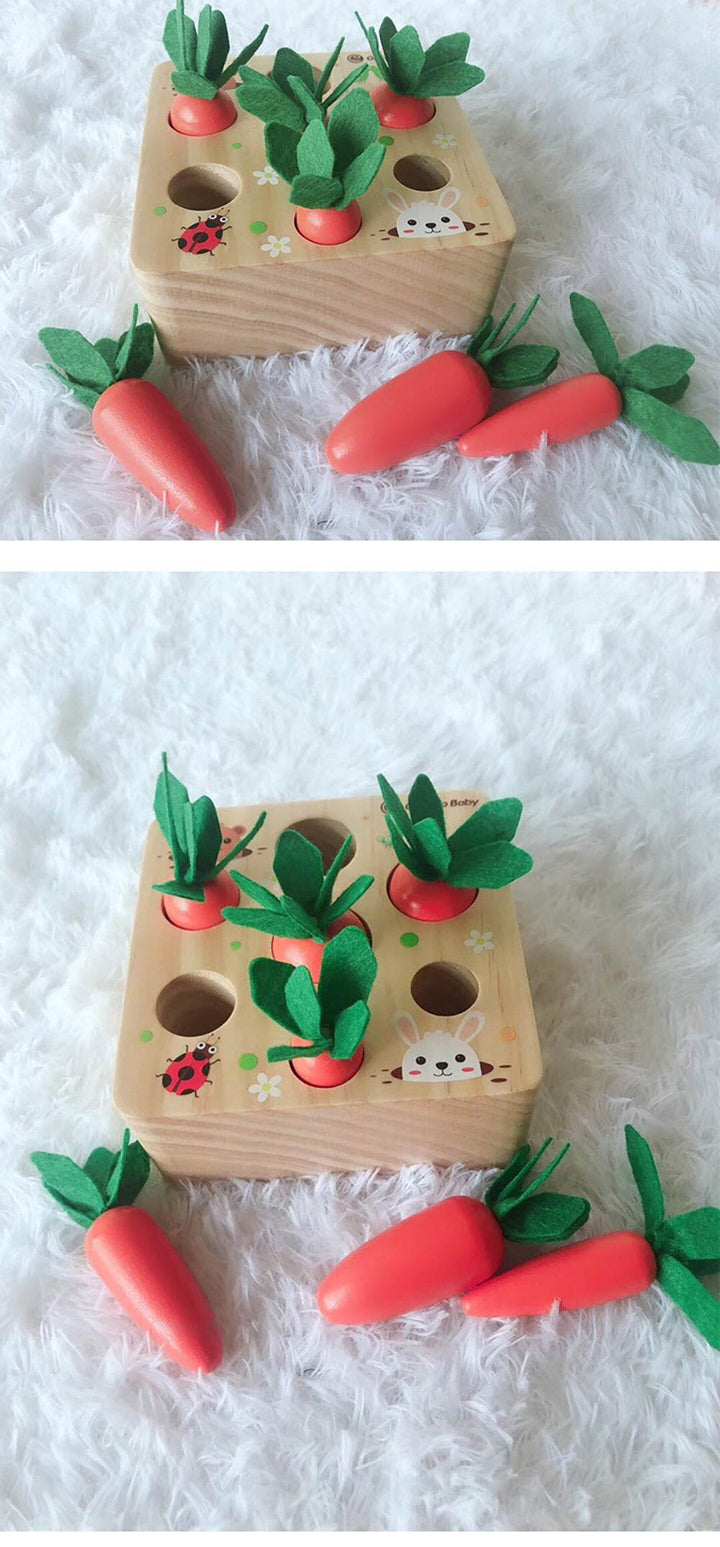 Educational toys - ZEYTONCART