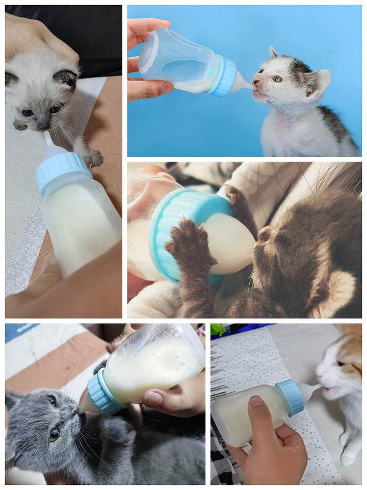 Cat Feeding Bottle Pet Dog Small Pacifier - ZEYTONCART