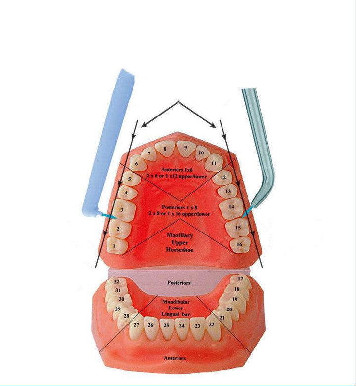 Faucet Irrigator 6 Jet Nozzles Portable Teeth Irrigators Water Jet Water Flosser Teeth Cleaning Tool - ZEYTONCART