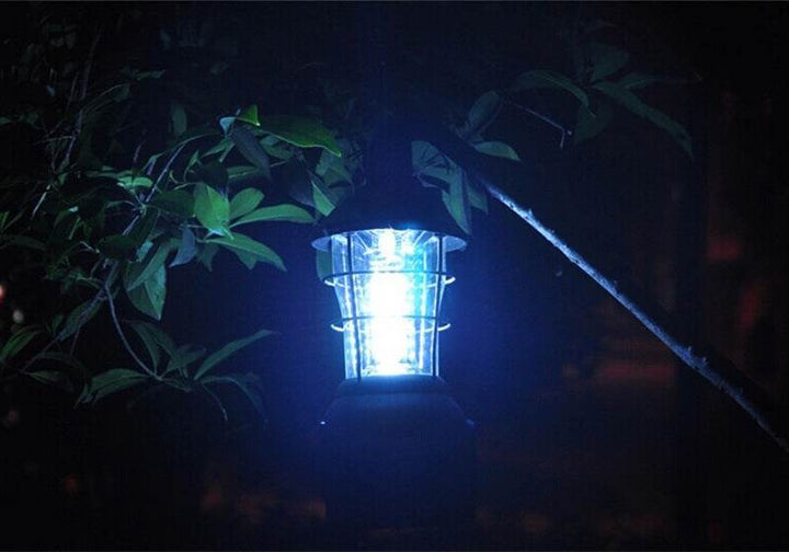 Camping Light - ZEYTONCART