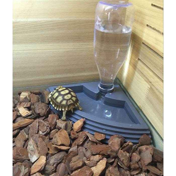 Reptile Feeding Tray Automatic Drinking Fountain - ZEYTONCART