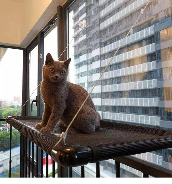 New Suction Cup Splicing Cat Window Hammock - ZEYTONCART