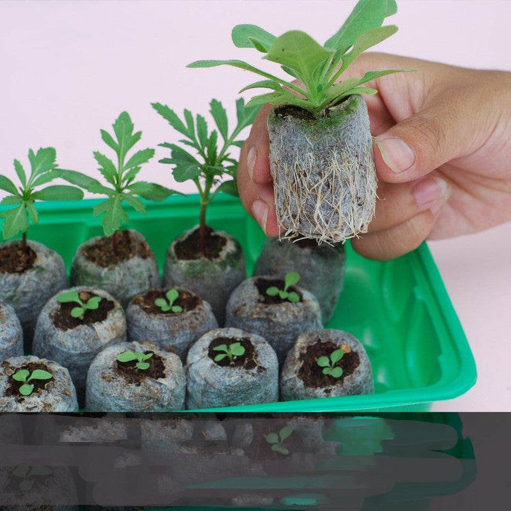 Gardening Tools Succulent Gardening Supplies Set Combination Planting Flowers Green Plants Succulents Tools - ZEYTONCART