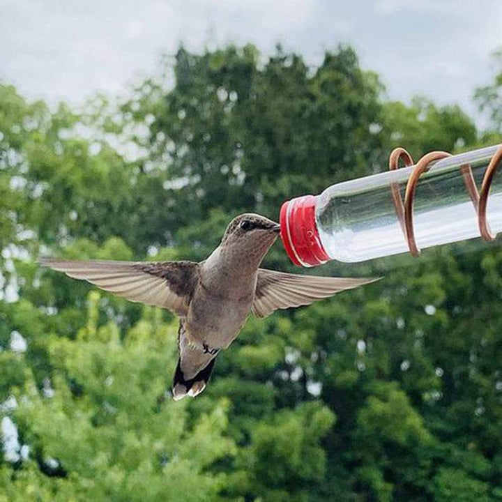 Garden Bird Feeder Supplies Hummingbird Feeder Drinker Suction Cup Easy To Clean Deck Garden Decor Bird Feeders for Wild Birds - ZEYTONCART