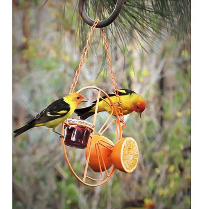 Simple Outdoor Bird Feeding And Water Feeding - ZEYTONCART