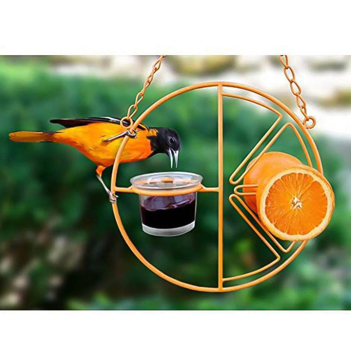 Simple Outdoor Bird Feeding And Water Feeding - ZEYTONCART