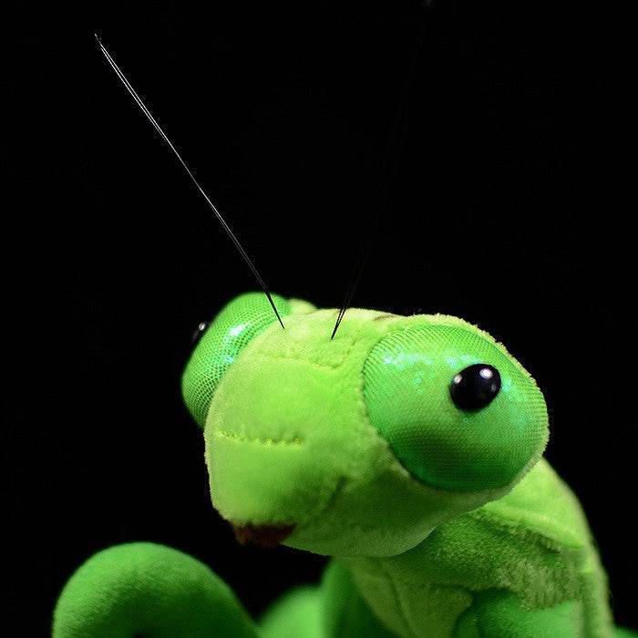 Lifelike Mantis Plush Toys Mantis Stuffed Animals Toy For Kids - ZEYTONCART