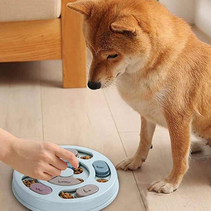 Manufacturers Stock Household Pets Dog Puzzle Feeding Bowls Dog Puzzles Feeding Bowls - ZEYTONCART