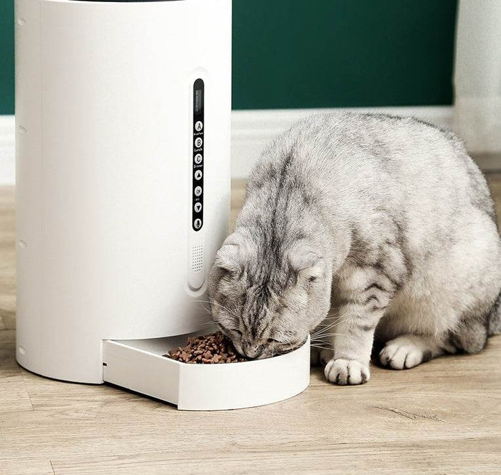 Pet Smart Feeder Pet Supplies Timing - ZEYTONCART