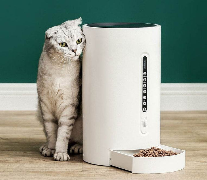 Pet Smart Feeder Pet Supplies Timing - ZEYTONCART