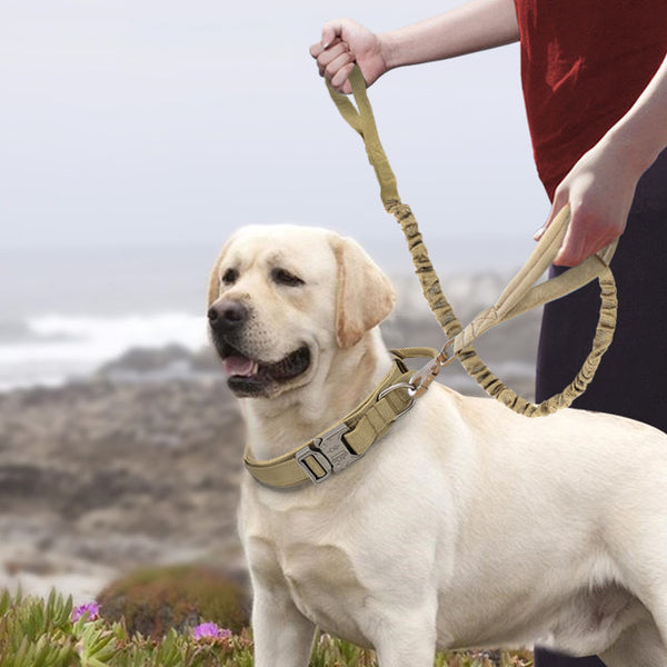 Nylon Dog Collars Large And Medium-sized Dogs Pet Collars - ZEYTONCART