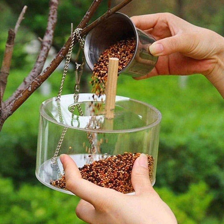 Acrylic Bird Food Box - ZEYTONCART