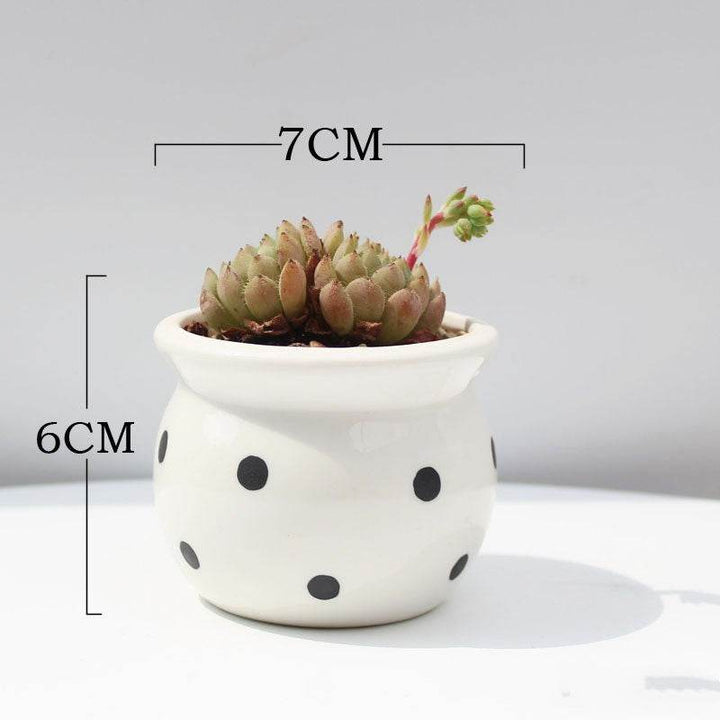Succulent Flower Pot Ceramic Flower Pot Thumb Pot - ZEYTONCART