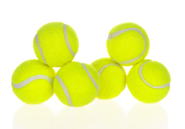 Dog Pet Automatic Interactive Ball Launcher - ZEYTONCART