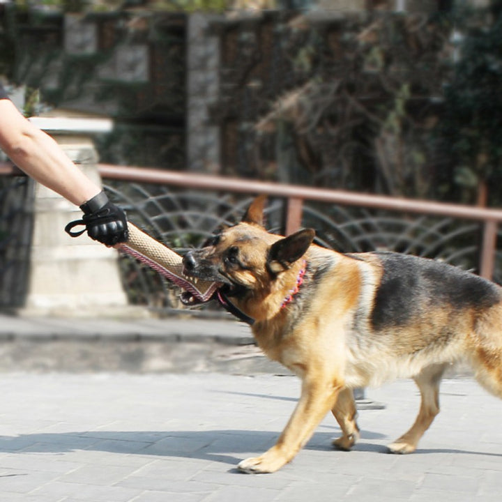Biting Dog Training Professional Working Dog - ZEYTONCART