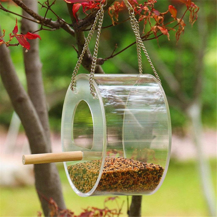 Acrylic Bird Food Box - ZEYTONCART