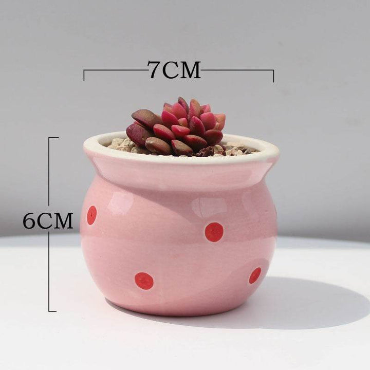 Succulent Flower Pot Ceramic Flower Pot Thumb Pot - ZEYTONCART