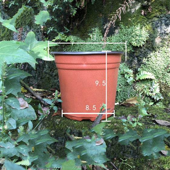 Plastic two-color nursery pots - ZEYTONCART