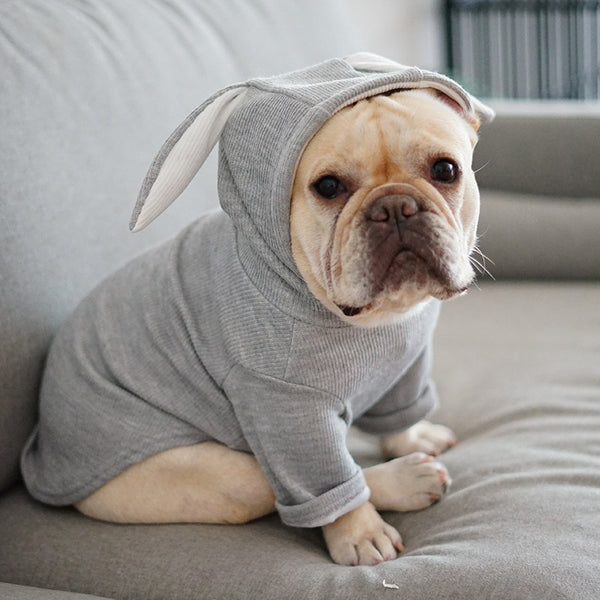 Dog Pet Clothes Spring And Autumn Clothing - ZEYTONCART