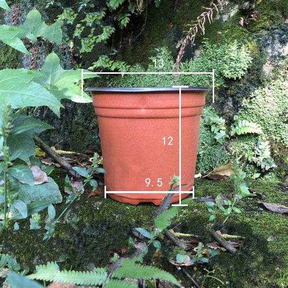 Plastic two-color nursery pots - ZEYTONCART