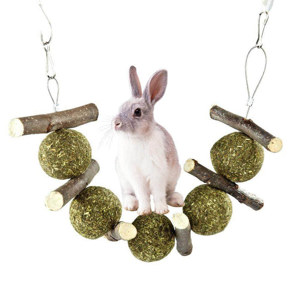Pet molar supplies - ZEYTONCART