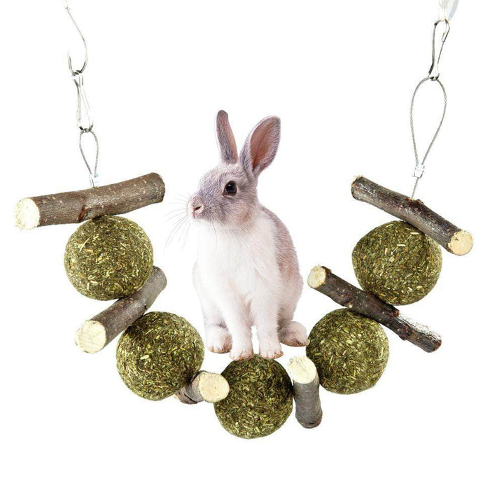 Pet molar supplies - ZEYTONCART