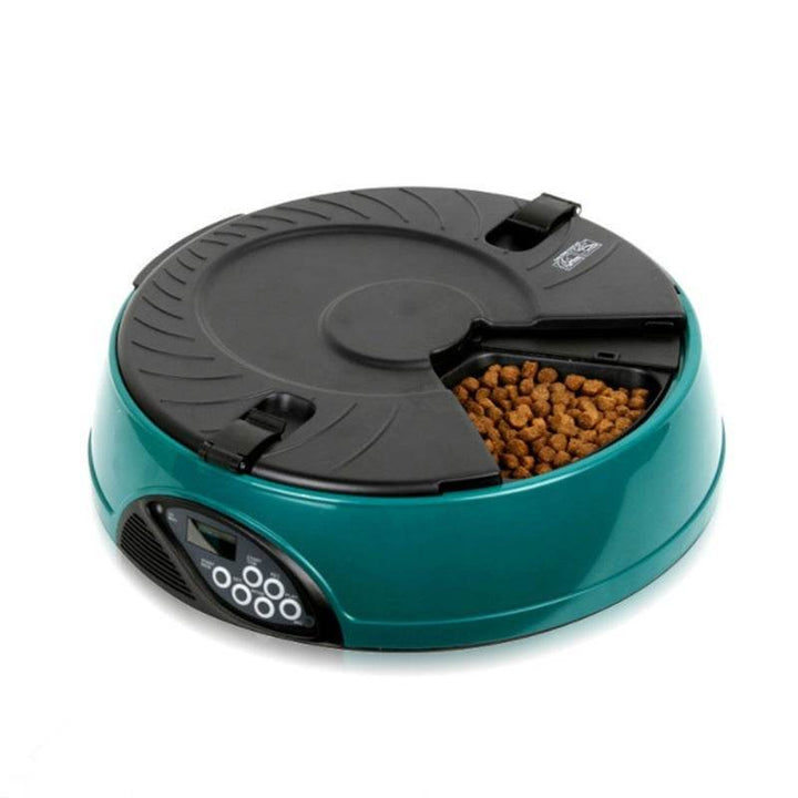 Pet Automatic Feeding Machine - ZEYTONCART