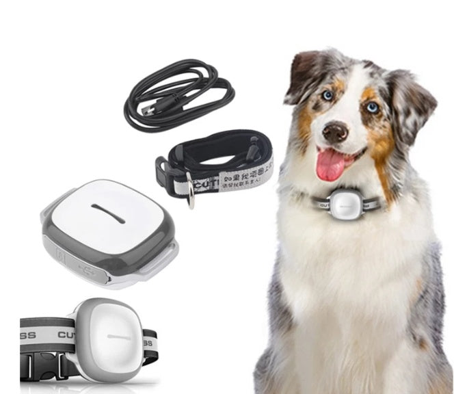 Collared Cat Dog Tracker Pet Locator Pet - ZEYTONCART