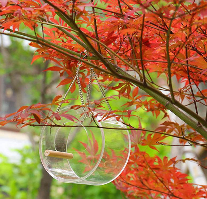 Acrylic Bird Food Box - ZEYTONCART