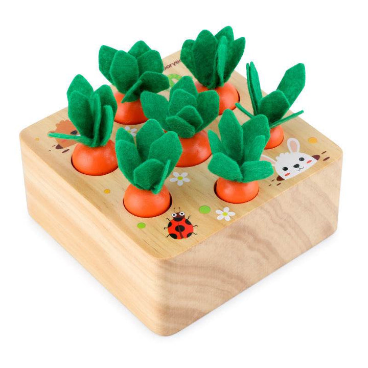 Educational toys - ZEYTONCART