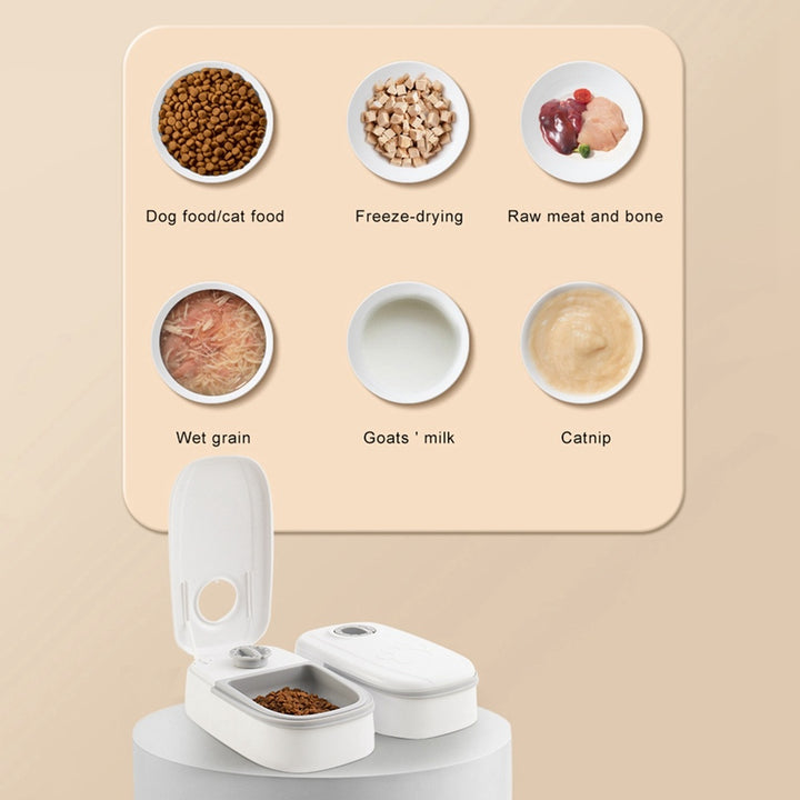 Automatic Pet Feeder Smart Food Dispenser For Cats Dogs Timer Stainless Steel Bowl Auto Dog Cat Pet Feeding Pets Supplies - ZEYTONCART