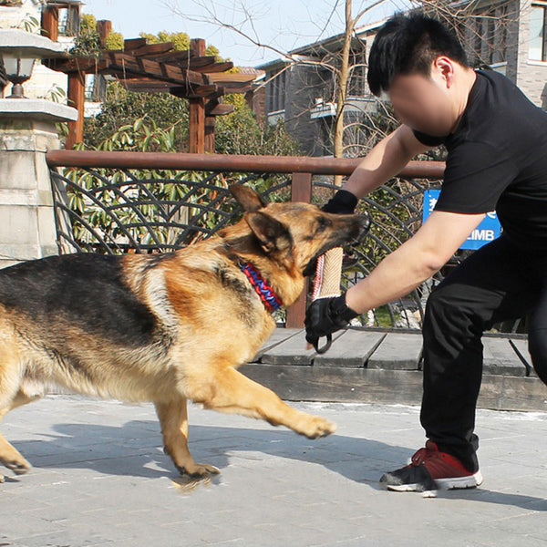 Biting Dog Training Professional Working Dog - ZEYTONCART