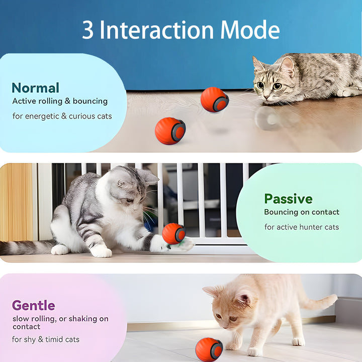 2025 Smart Interactive Cat Ball,Type-C Rechargeable Interactive Cats Toy,Automatic Cat Teaser Toy,Pet Supplies,New Year Gift - ZEYTONCART
