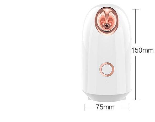 Steam Facial Spray Hydration Apparatus - ZEYTONCART