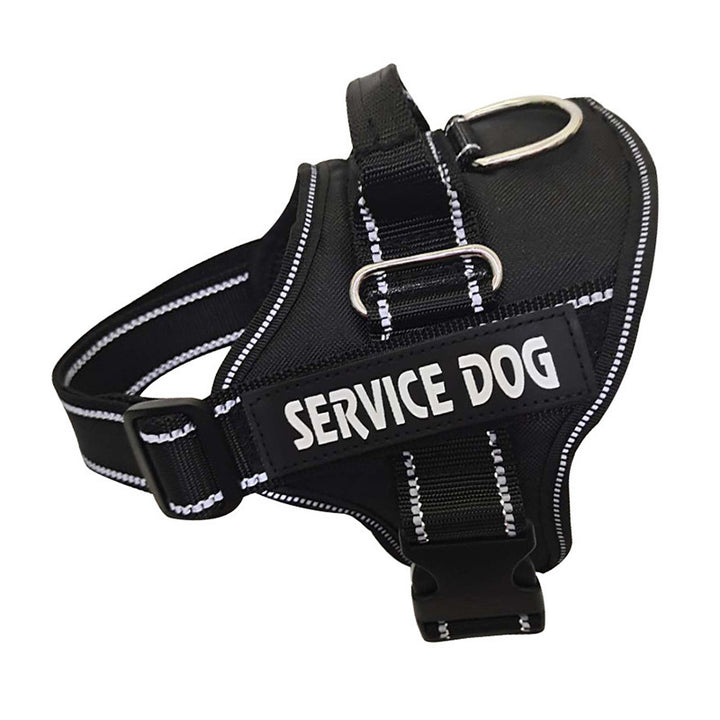 Personalization Of Pet Chest Strap Products - ZEYTONCART