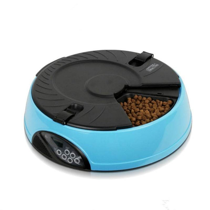 Pet Automatic Feeding Machine - ZEYTONCART